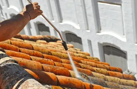 Nettoyage de toitures - Bourg-Blanc